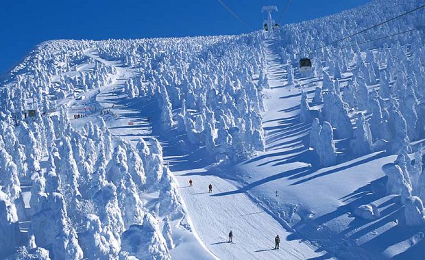 Ski among the snow monsters at Zao Onsen! Photo: Zao Onsen Tourism
